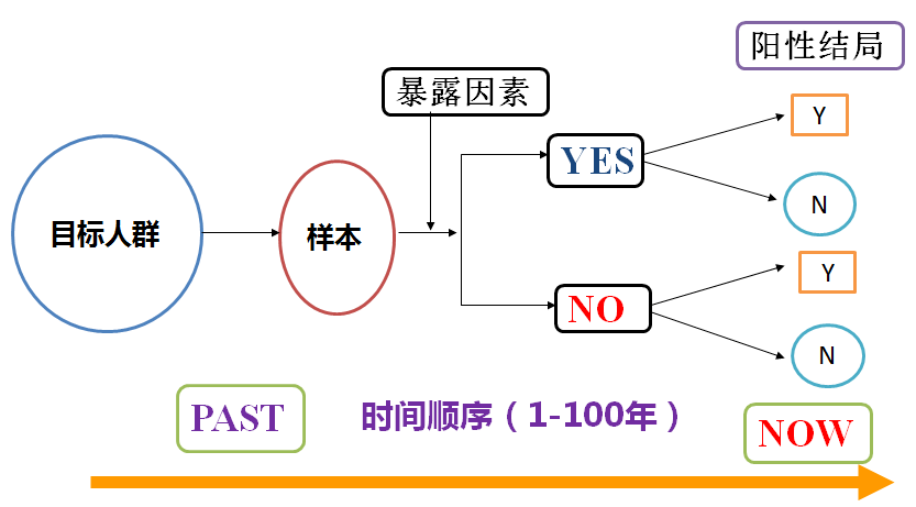 辽宁队荣耀历程回顾，最新消息一览