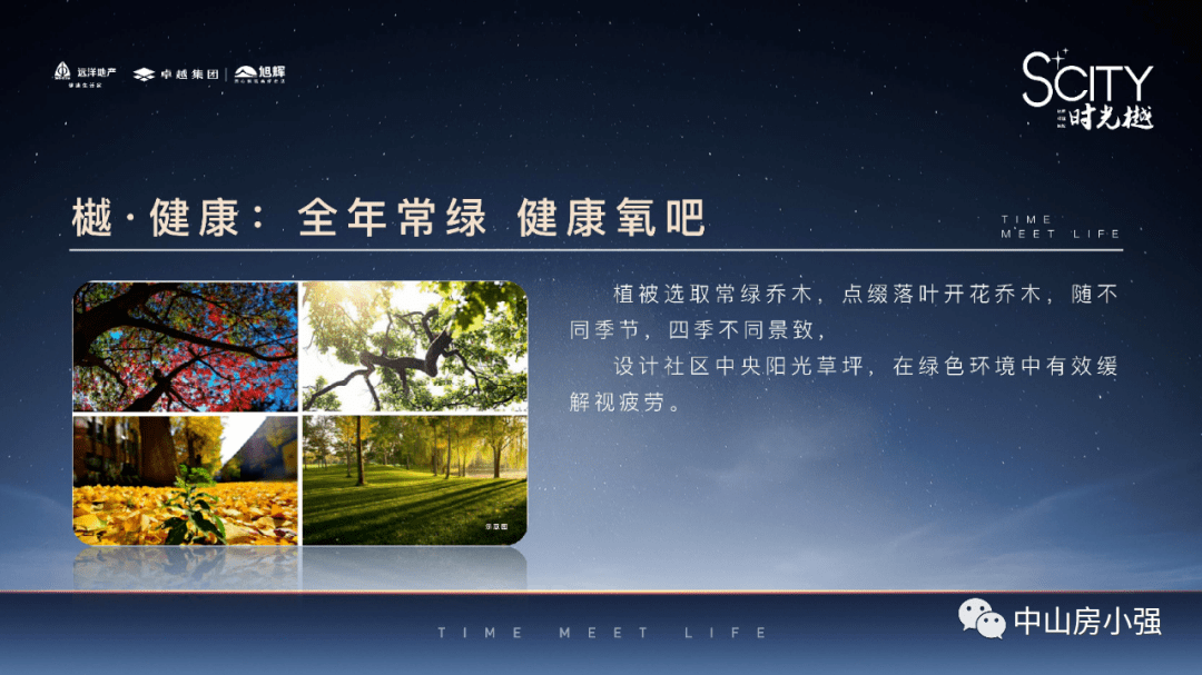 一站式城市服务平台 第313页