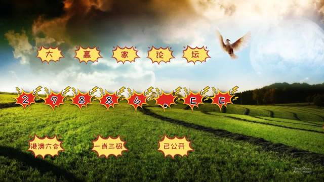 4949澳门今晚开奖,动态解读分析_可靠性版13.442