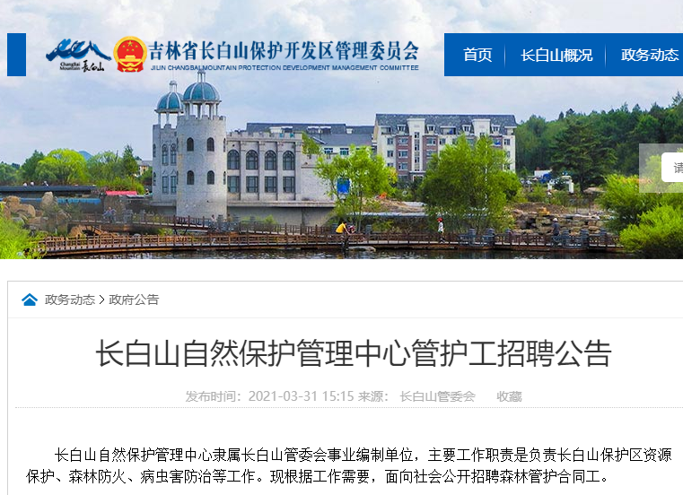 枣强永良最新招聘启航，探索自然美景，寻觅内心宁静之路