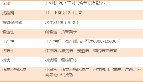 一站式城市服务平台 第155页