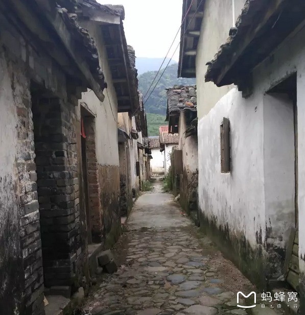 荥阳最新招聘与小巷特色小店的奇妙探索之旅