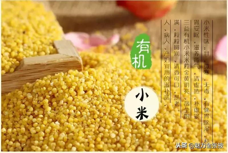 小米最新报价，带你开启自然美景探索之旅