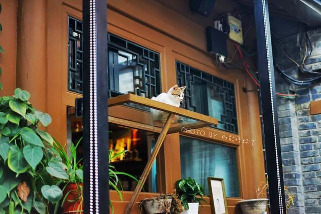 小巷深处的特色小店探秘，最新套图欣赏