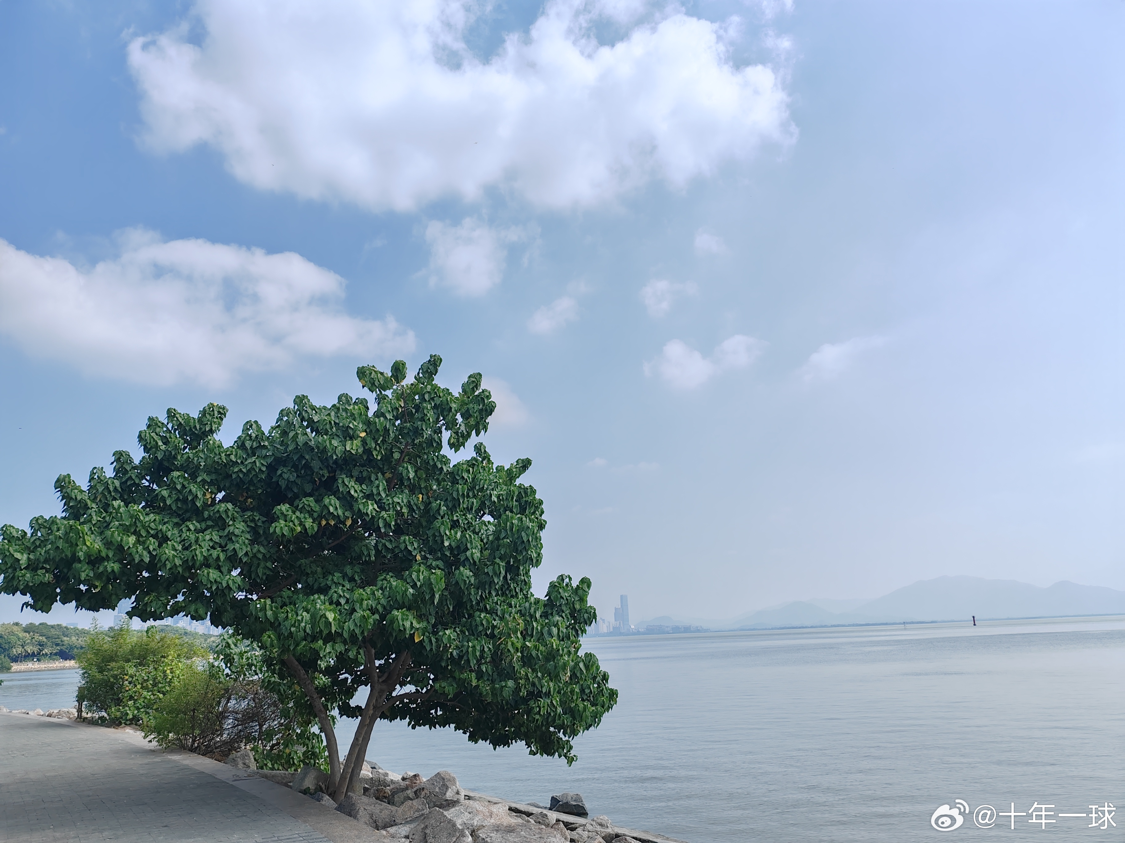 深圳疫情最新通报与绿色心灵之旅，寻找内心平静的绿色之旅