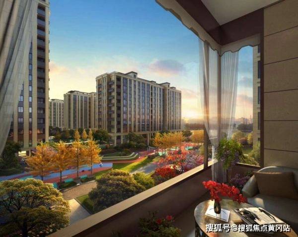 金星最新动态，探索之旅与观点分析