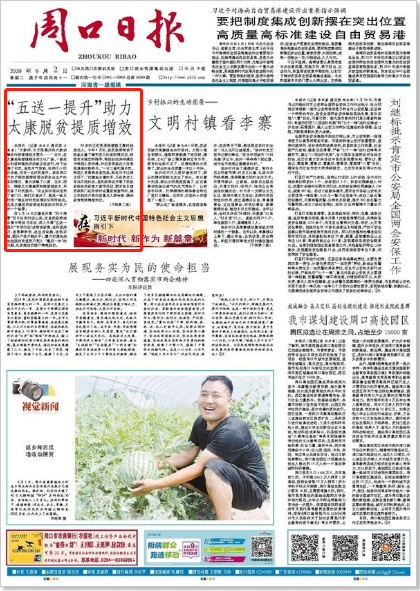太康新闻深度剖析，最新消息与观点综述